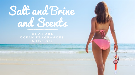 Salt and Brine and Scents: What are Ocean Fragrances Made Of?