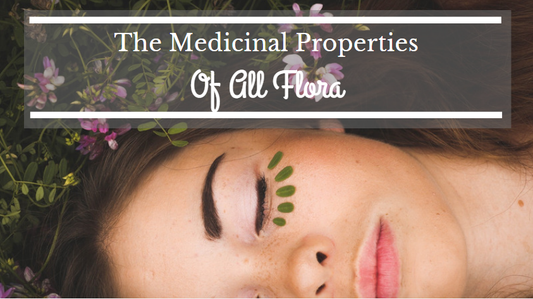 The Medicinal Properties of All Flora