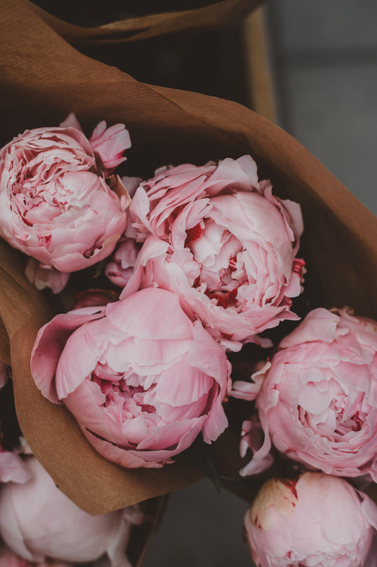 Powers of Peony Essential Oil