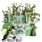 Tea Tree Deluxe Spa Bath Set - 18Pc Aromatherapy Gift