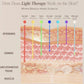 7-Color LED Light Therapy Facial Mask for Radiant Skin