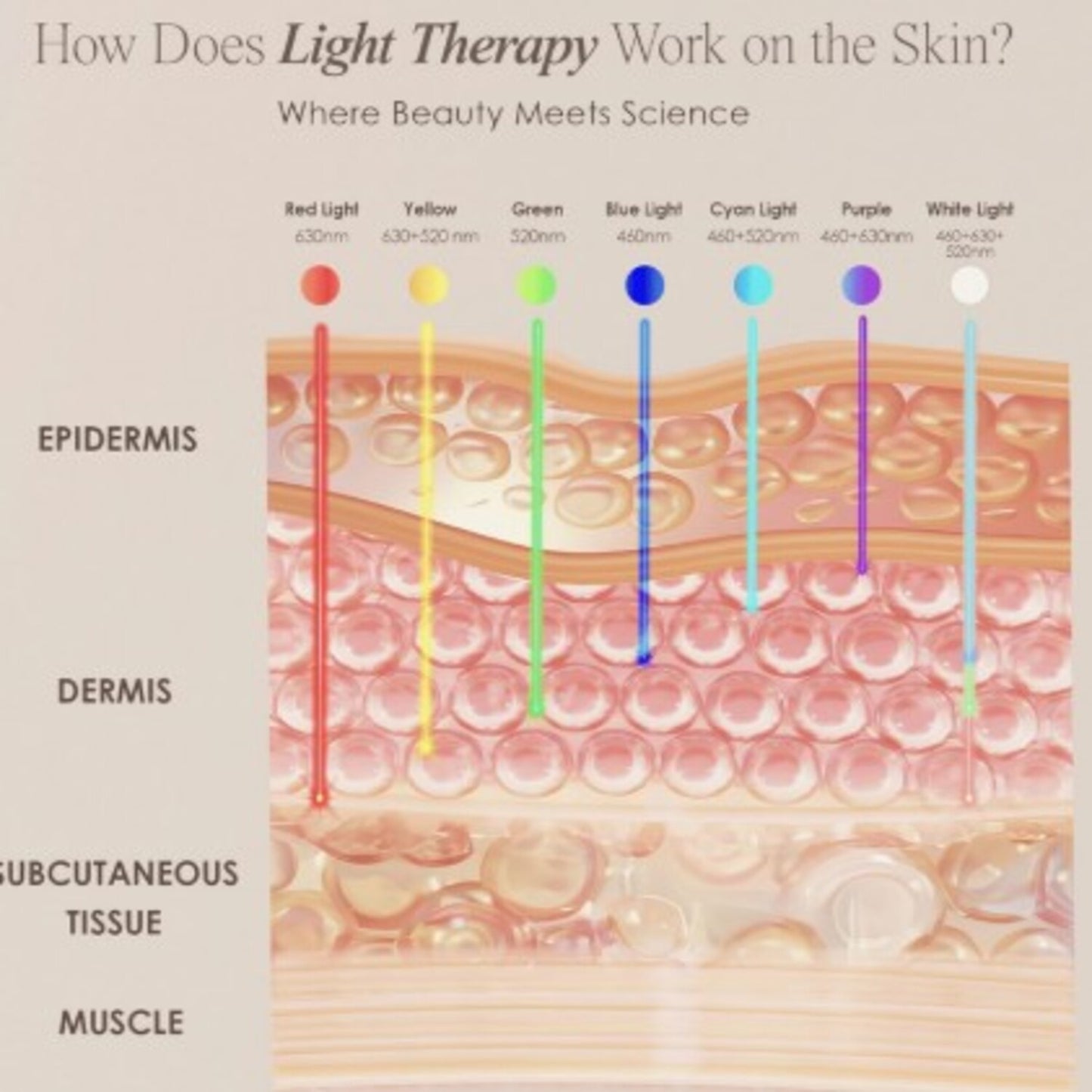 7-Color LED Light Therapy Facial Mask for Radiant Skin