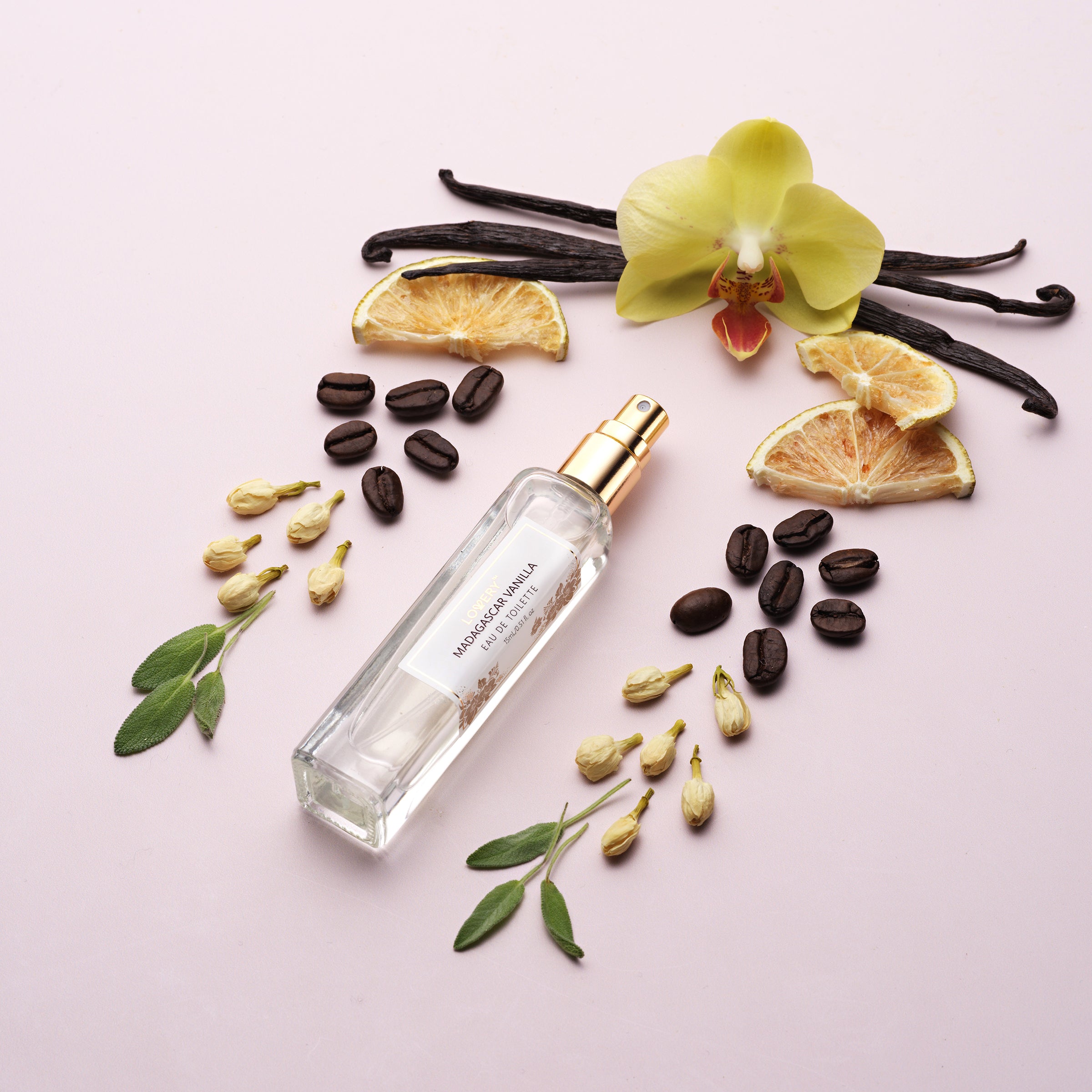 Body shop madagascan vanilla perfume online oil