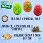 Dinosaur Egg Bath Bombs – 12Pc Gift Toys with Dino Surprises Inside