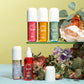 5-Pc. Solo En Ibiza Fragrance Body Mist Gift Set