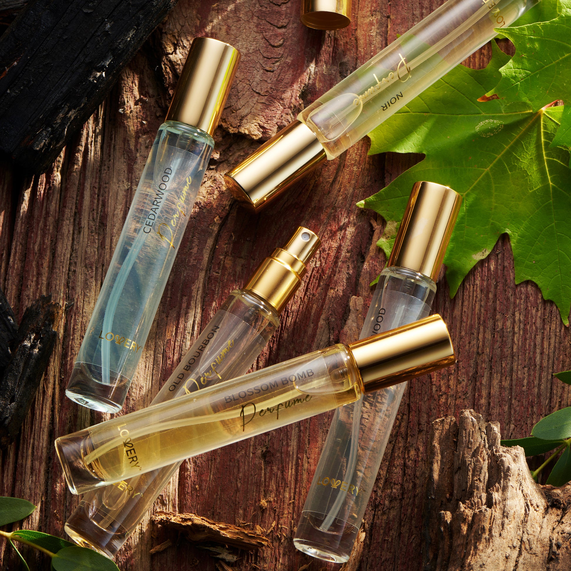 Lovery Unisex Mini Perfumes for Women Perfume Gift Set Fragrance for Men Cologne - 5 Assorted Woody Floral Women\s Fragrances & Men\s Fragrances P