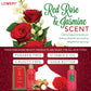 Jasmine and Red Rose Christmas Gift - 8Pc Bath and Body Set
